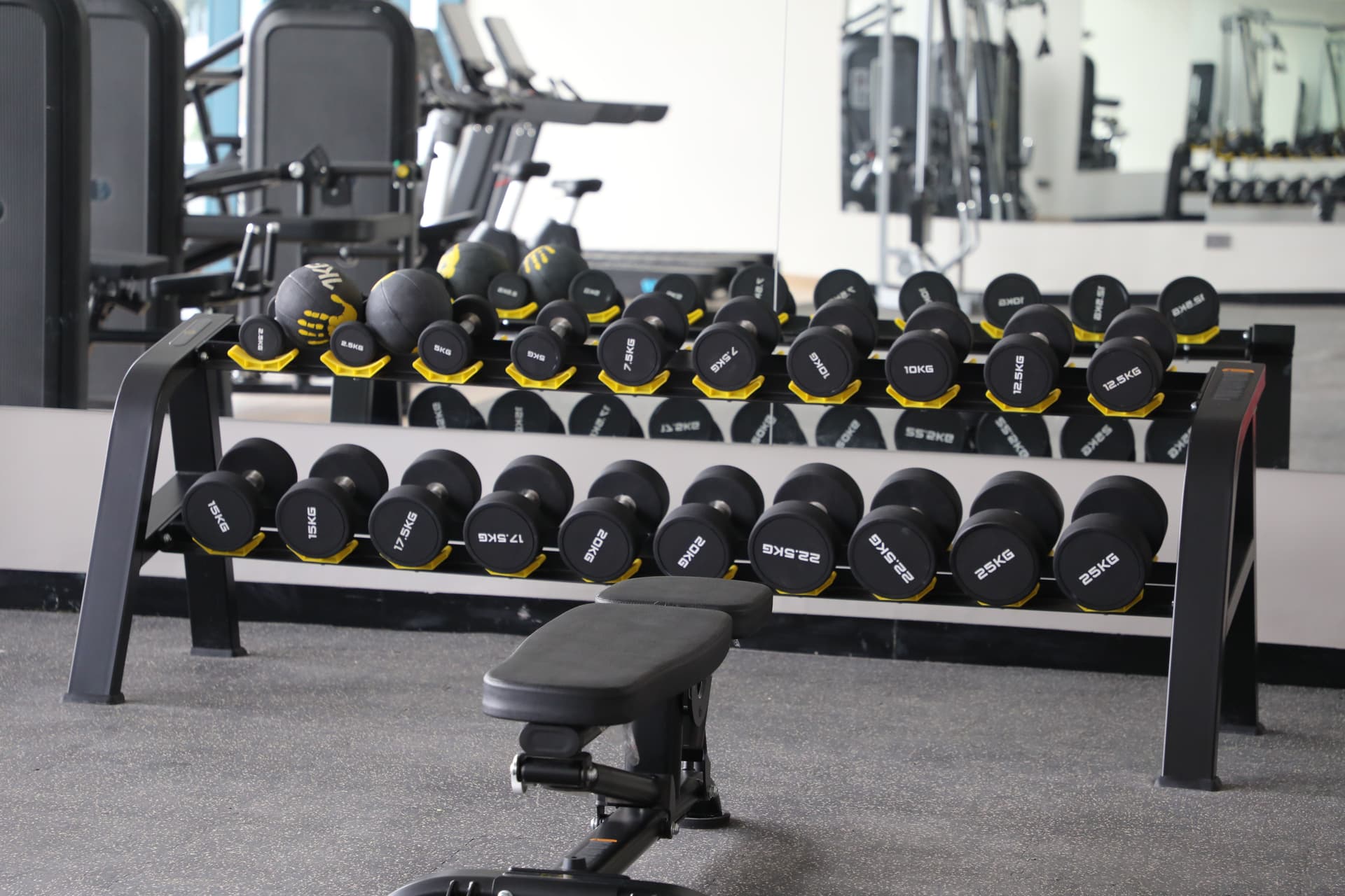 gym and fitness